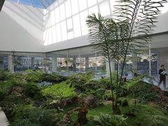 -罗红摄影艺术馆