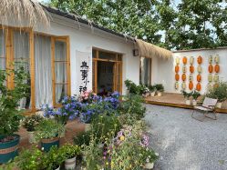 -DORA kids 朵拉儿童摄影花园店