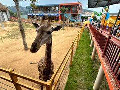 -西霞口神雕山野生动物世界