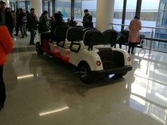 -首都医科大学附属北京天坛医院