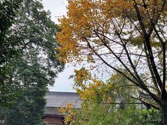 -峨眉山报国寺