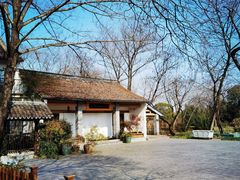 -西溪国家湿地公园