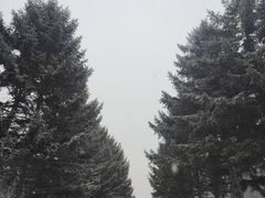 -长春市南湖公园