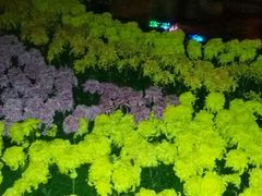 android_upload_pic-迎泽公园