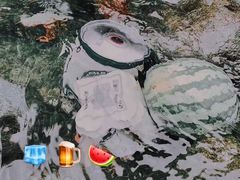 -源泉冷水鱼庄(小鱼洞店)