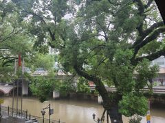 -广东胜利宾馆西关粤中餐厅