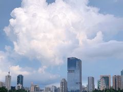 -万绿园