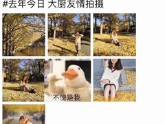 -三里屯东五街银杏大道