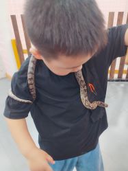 -Moni星球萌宠·小马宝莉·灵蛇·高端高阶全萌宠互动体验俱乐部(红豆国际广场店)