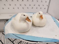 -白夜2D咖啡馆