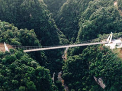 -碧峰峡风景区