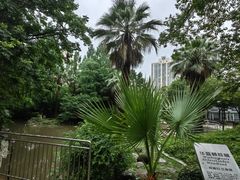 -苏州河梦清园环保主题公园