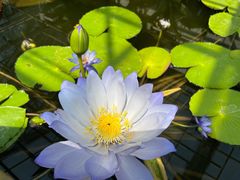 -国家植物园南园