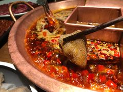大片毛肚-雾漫川城重庆火锅(上和商业广场店)