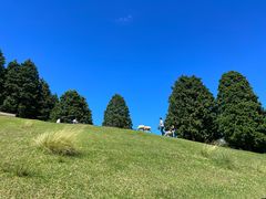 -神户市立六甲山牧场