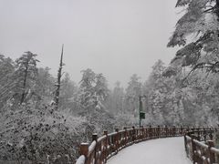 -瓦屋山景区