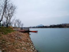 -羊山湖公园