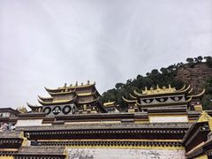 -四川郎木寺镇