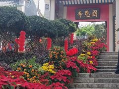 -国恩寺