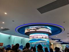 -金钉子远古世界景区