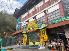 -西双版纳原始森林公园