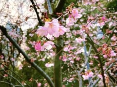 -静安雕塑公园
