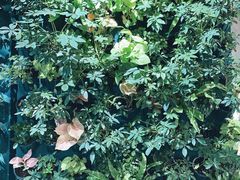 -鹿岛会员店 (龙湖三千集天街店)