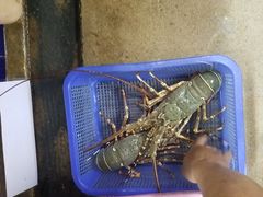 -班赞海鲜市场