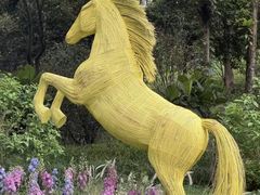 -云溪植物园