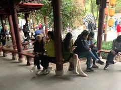 -杭州黄龙洞