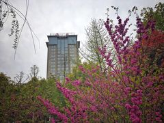 -南京航空航天大学(将军路校区)