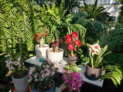 -国家植物园南园