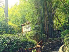 -竹海听涛生态山庄