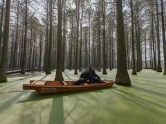 -渌洋湖湿地公园