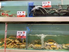 水产区-万龙洲海鲜(大兴绿地缤纷城店)