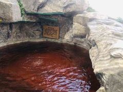 -爱江山温泉(凌奥店)