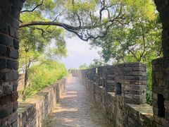 -广州莲花山旅游区