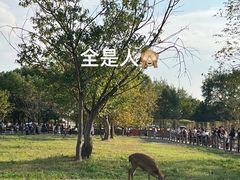 -良渚古城遗址公园