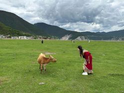 -纳帕海依拉草原