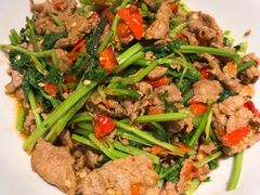 香菜炒牛肉-壹盏灯(蚂蚁工房店)