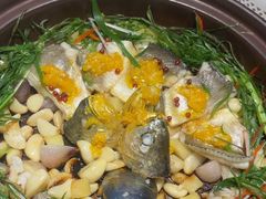 -院里寻菜·精致庭院菜(观沙岭店)