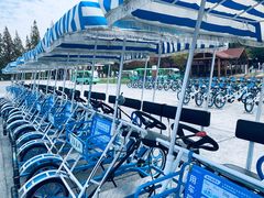 -黄海国家森林公园