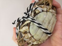 -七的湖·晚芳亭·阳澄湖农家菜·大闸蟹(莲花岛店)