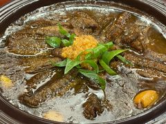 -丁老爷子苏香圆