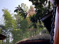 -天目湖御水温泉·度假酒店