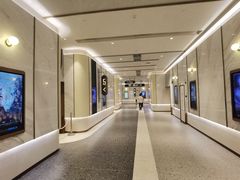 -英皇电影城(平安金融中心IMAX激光店)
