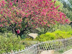 -北京西山国家森林公园