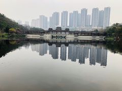 -重庆彩云湖湿地公园
