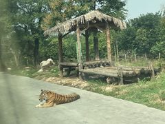 -西安秦岭野生动物园