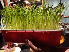 -番食园鲜食火锅(高新店)